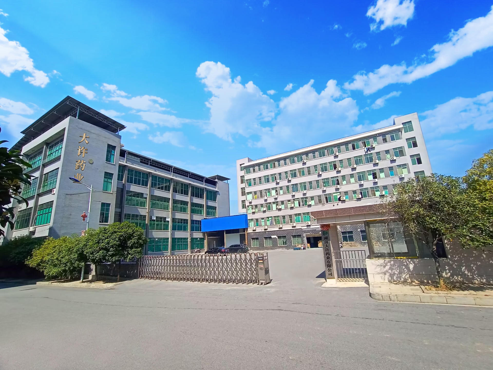 湖南大许药业有限公司